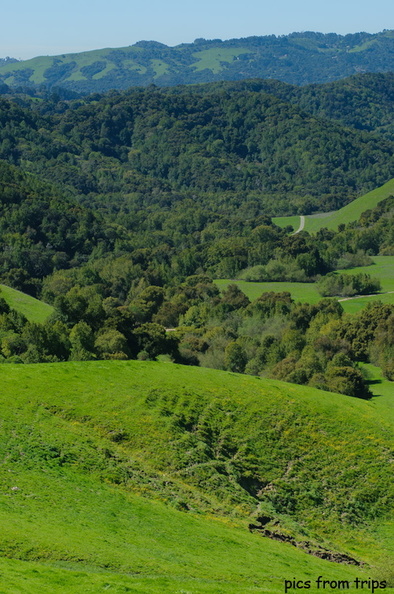 rolling hills2011d11c028.jpg